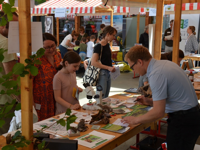 Rund 400 Erwachsene und Kinder ließen sich beim Klimamarkt bei abwechslungsreichem Programm zu den Themen Klimawandel und Naturschutz inspirieren.
Erfolgreicher Klimamarkt in Ludesch