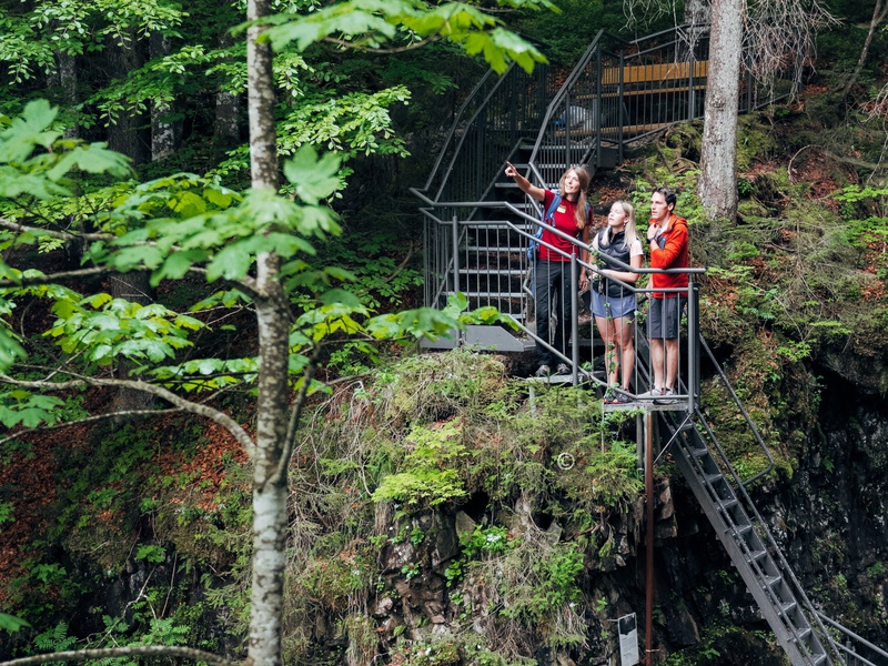 Gemeinsame Wanderung zum Festivalort und Naturvermittlung live bei einem Ausflug: Das Festival bietet auch Zeit, um Naturvermittlungs-Formate zu erleben.
Zwei Tage eintauchen in die Naturvermittlung