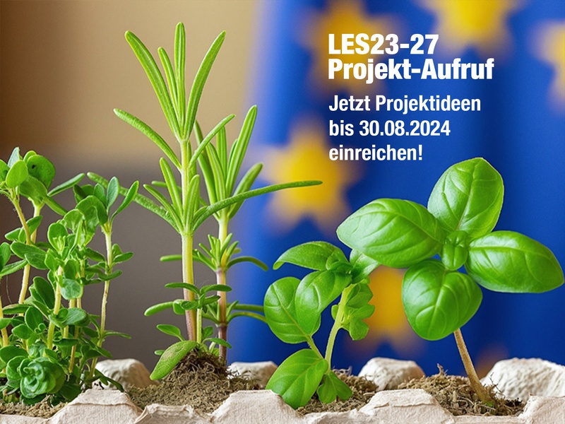 Zweiter LEADER-Aufruf 2024
Zweiter Aufruf 2024 zur Einreichung von LEADER-Projekten