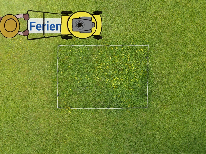Im Mai 2025 sind Rasenbesitzer:innen aufgerufen, ihren Rasen für mehr Naturvielfalt weniger zu mähen.
Mitmachen bei der Aktion "Ferien für den Rasenmäher"