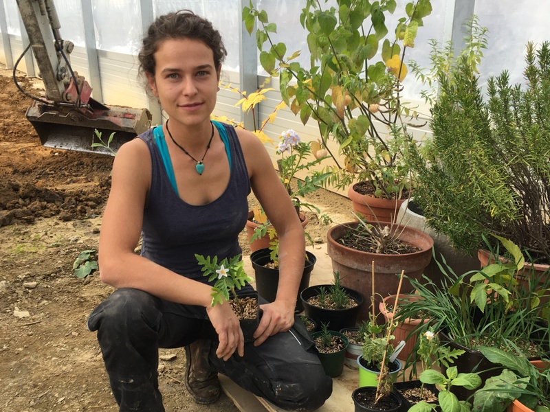 Teigwaren, Gemüse und mehr: Der Markt der Erde holt auch die Produzent*innen vor den Vorhang. Foto: Dorner Hof
